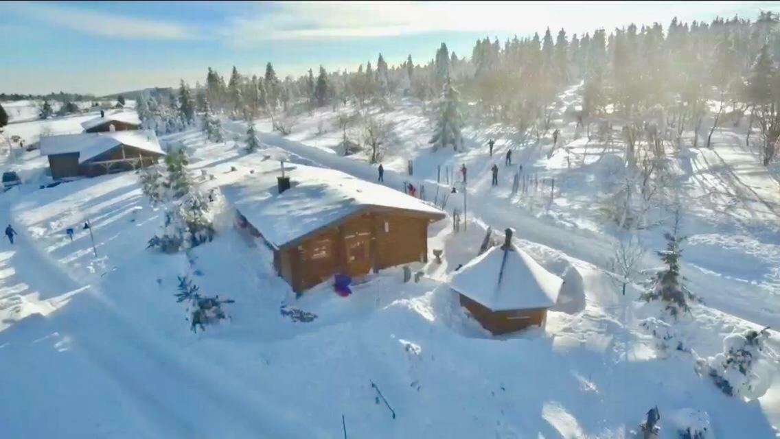 فيلا Beerenhaus Altenberg المظهر الخارجي الصورة